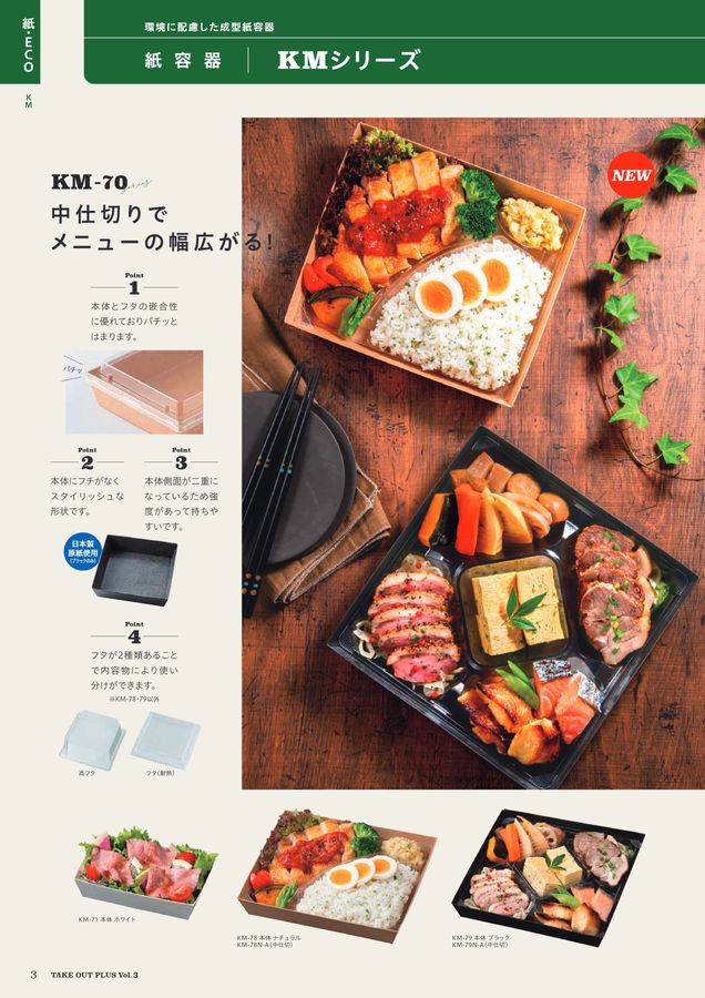 KP PLATEC Vol3